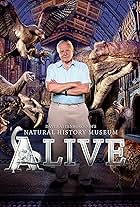 David Attenborough's Natural History Museum Alive