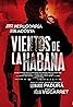 Vientos de la Habana (2016) Poster