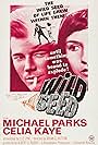 Wild Seed (1965)