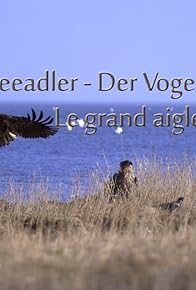 Primary photo for Seeadler: Der Vogel Phönix