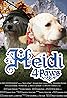 Heidi 4 Paws (2009) Poster