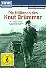 Die Millionen des Knut Brümmer (1977)