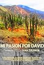 Mi pasión por David (2012)