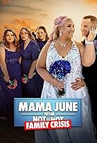 Mama June: Family Crisis (2017)