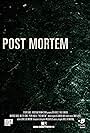 Post Mortem (2017)