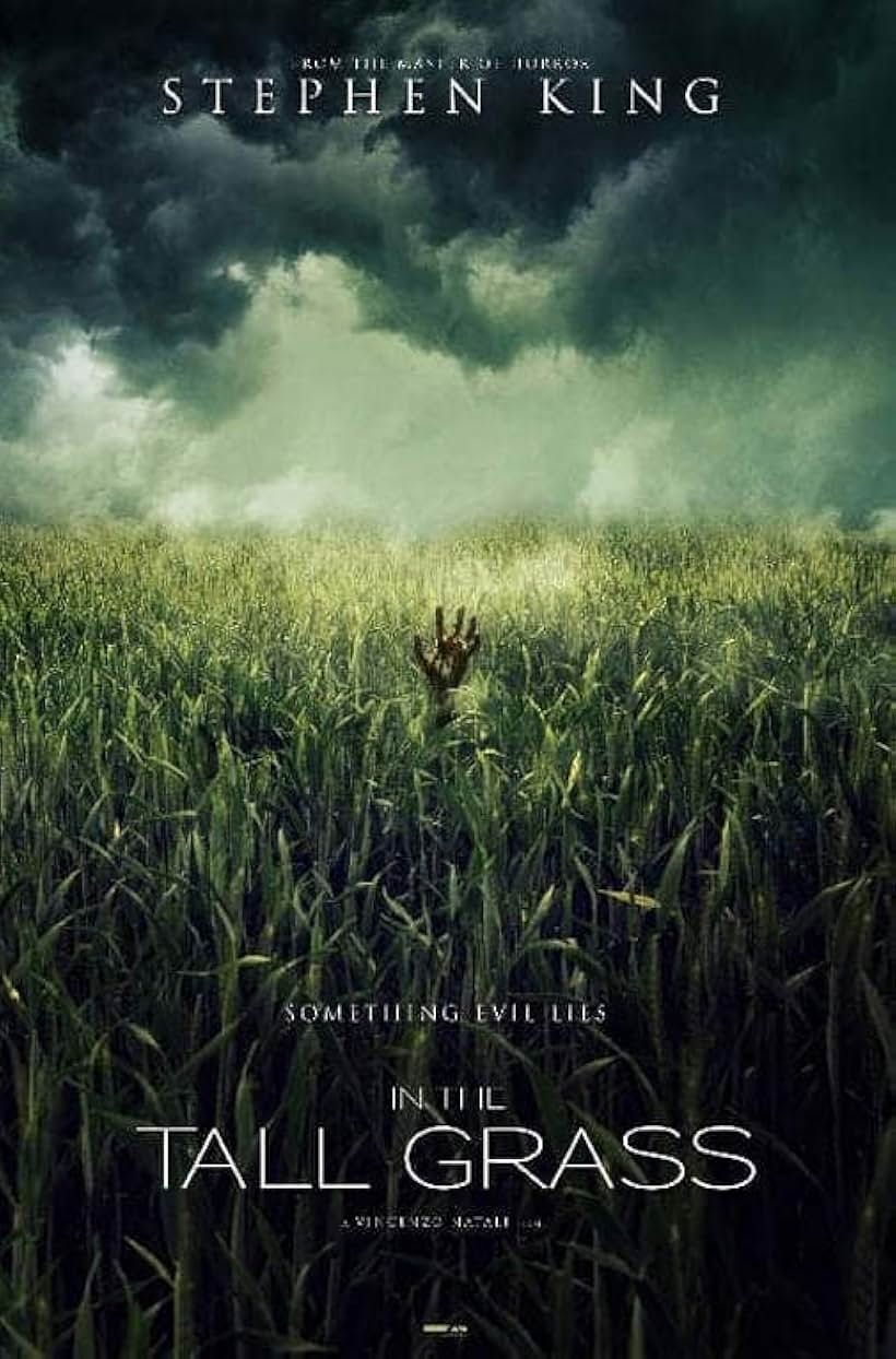 In the Tall Grass (2019)