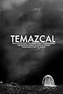 Temazcal (2019)