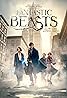 Fantastic Beasts and Where to Find Them: The President and the Auror (Video 2017) Poster