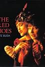 Kate Bush: The Red Shoes (1993)