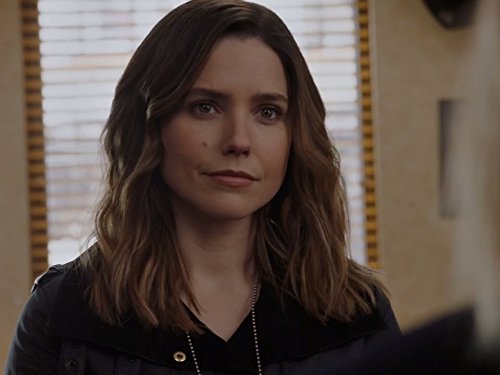 Sophia Bush in Chicago P.D. (2014)