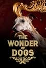 The Wonder of Dogs (2013)