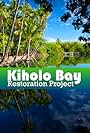 Kiholo Bay Restoration Project (2015)