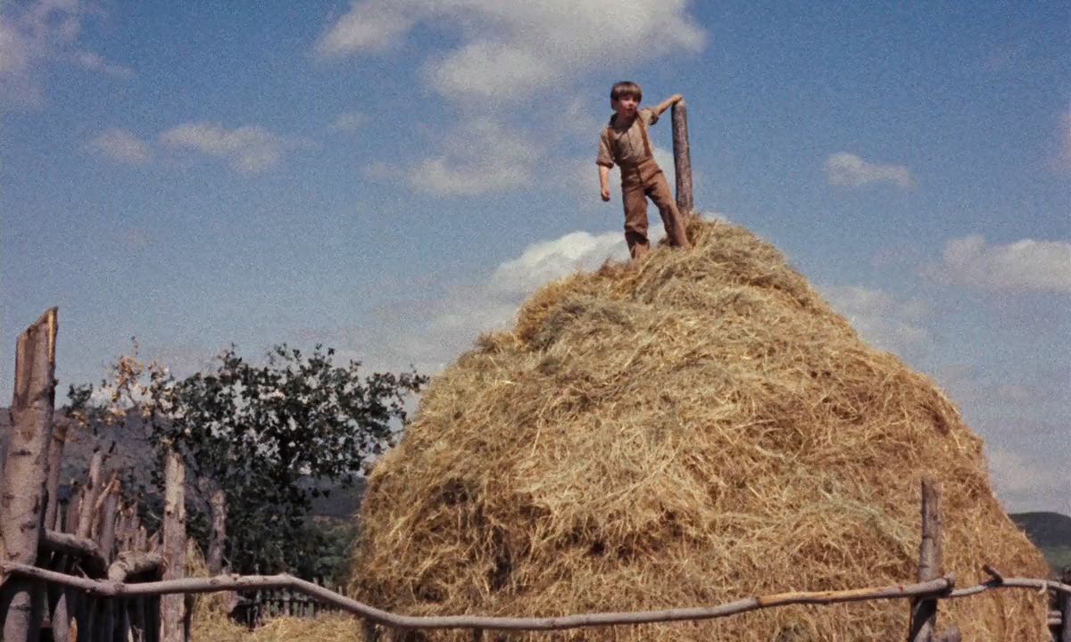 Kevin Corcoran in Old Yeller (1957)