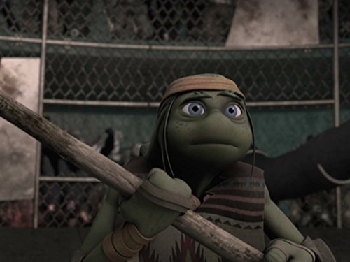 Teenage Mutant Ninja Turtles (2012)