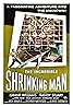 The Incredible Shrinking Man (1957) Poster