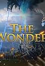 The Wonder (2020)