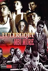 Lulekuqet mbi mure (1976)