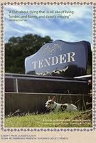 Tender