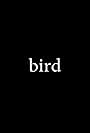 Bird (2020)