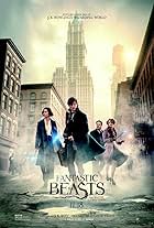 Fantastic Beasts and Where to Find Them: Meet the Fantastic Beasts (2017)