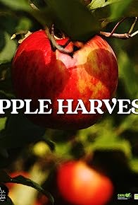 Primary photo for Apple Harvest