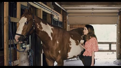 Official trailer for Joy of horses.