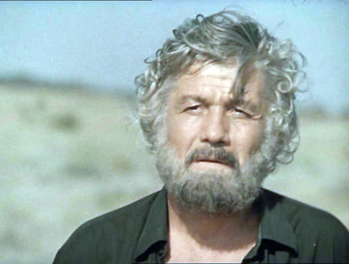 Mihai Volontir in Vozvrashchenie Budulaya (1986)