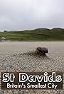 St David's: Britain's Smallest City (2020)