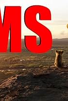 YMS: The Lion King (Part 1) (2022)