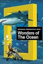 Wonders of the Ocean (2019)