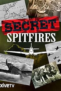 Primary photo for The Secret Spitfires