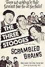 Moe Howard, Larry Fine, and Shemp Howard in Scrambled Brains (1951)