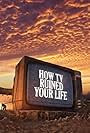 How TV Ruined Your Life (2011)