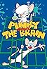 Pinky and the Brain (TV Series 1995–1998) Poster