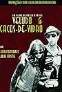 Veludo e Cacos-de-Vidro (2004)