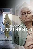 Litvinenko