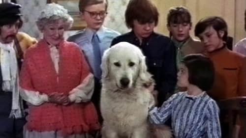 Michael Audreson, Gillian Bailey, Bruce Clark, Peter Firth, Melvyn Hayes, Nora Nicholson, and Debbie Russ in A Helping Hound (1970)