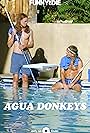 Agua Donkeys (2020)