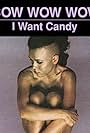 Bow Wow Wow: I Want Candy (1982)