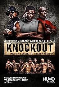 Knockout (2014)