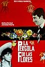 La pérgola de las flores (1965)