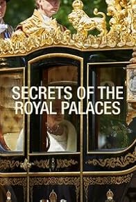 Primary photo for Secrets of the Royal Palaces