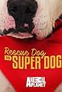 Rescue Dog to Super Dog (2016)