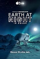 Earth at Night in Color