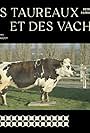 Des taureaux et des vaches (1992)