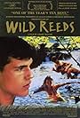 Wild Reeds (1994)