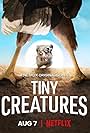 Tiny Creatures