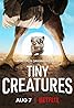 Tiny Creatures (TV Series 2020) Poster