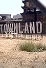 Viva Chinatownland (2006)