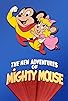 Primary photo for The New Adventures of Mighty Mouse and Heckle and Jeckle